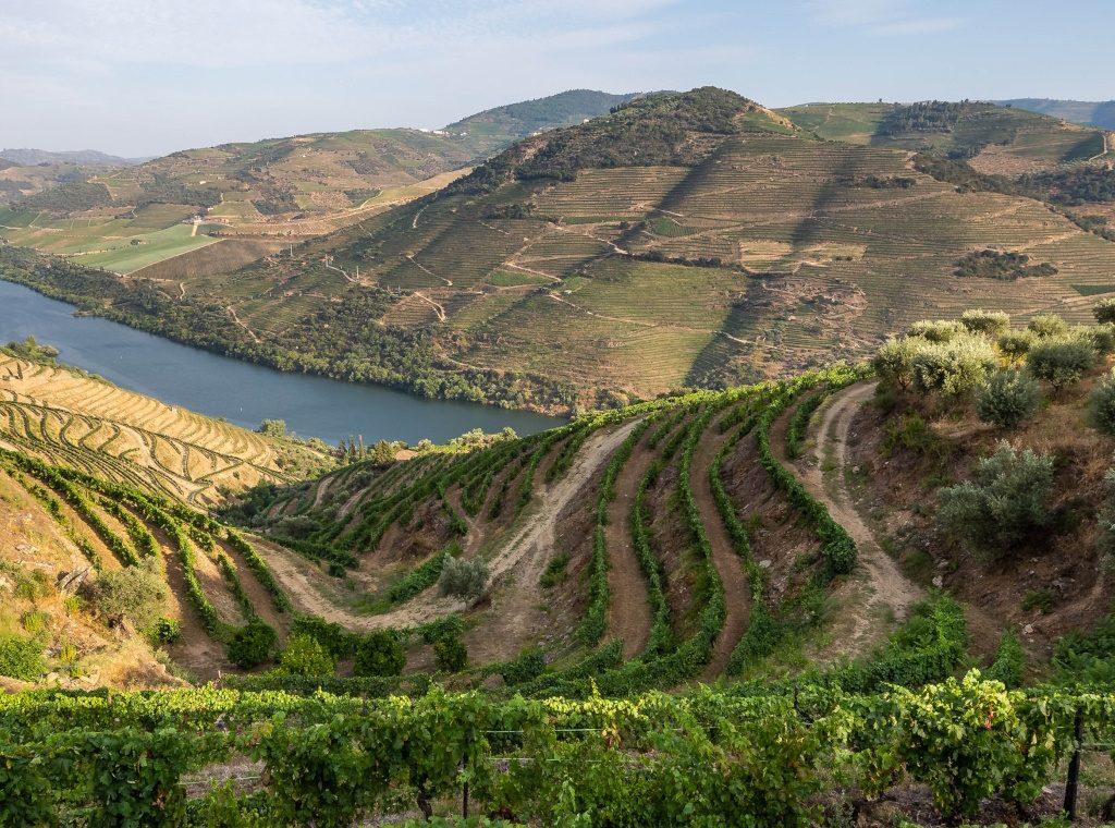 DOURO VALLEY FOOD & WINE TOUR