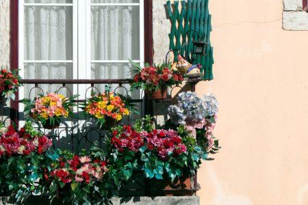 Window decorated with flowers, in Alfama district, in Lisbon, Portugal